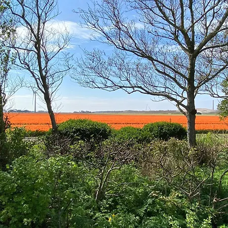 Holiday home Bohemien 21 Sint Maartensvlotbrug